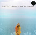 Andrew Mcmahon In The Wilderness