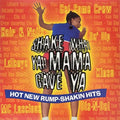 Various Artists - Shake What Your Momma Gave You - LP Vinyl
