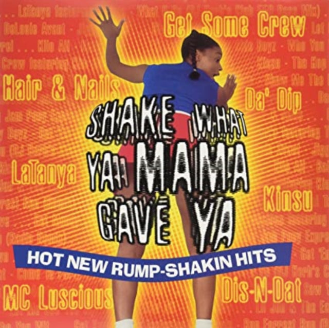 Various Artists - Shake What Your Momma Gave You - LP Vinyl