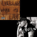 Everlast - What It's Like/Ends - 7 Inch Vinyl