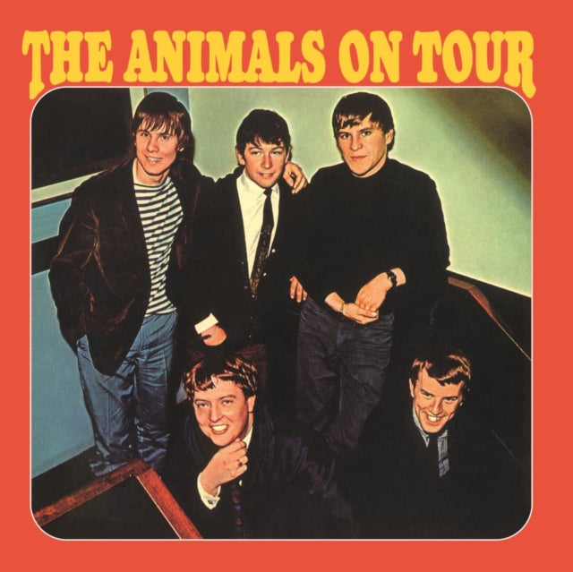 Animals On Tour & Animalization
