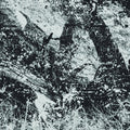 Index For Potential Suicide - Newest Youth Rebellion - LP Vinyl