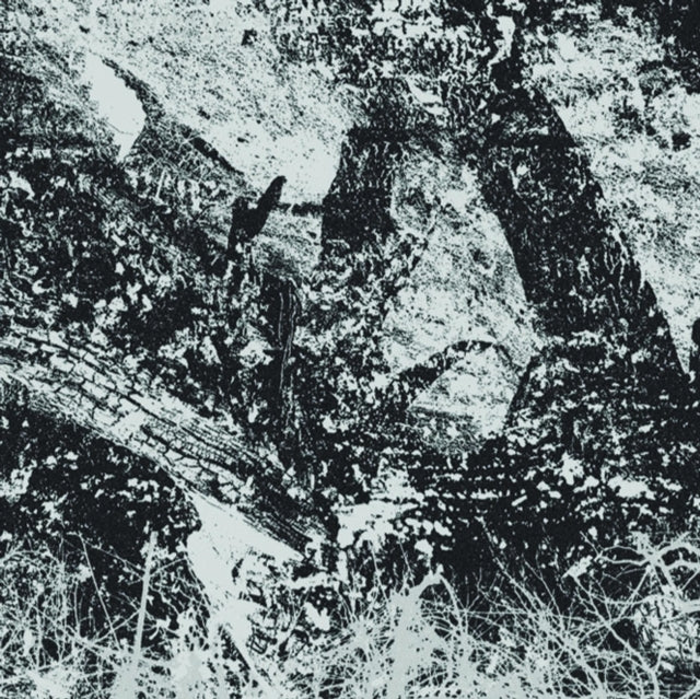 Index For Potential Suicide - Newest Youth Rebellion - LP Vinyl