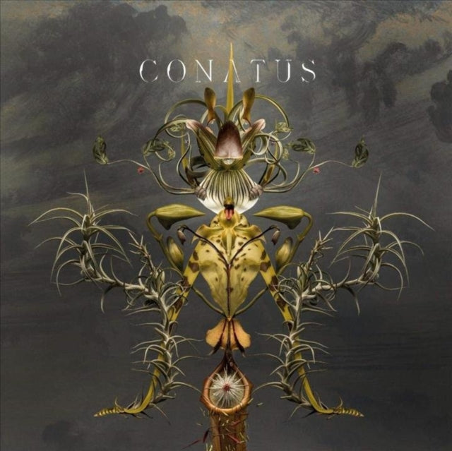 Joep Beving - Conatus - CD