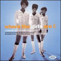 Various Artists - Where The Girls Are Vol.5 / Various - CD