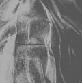 Hord - No Eyes For - 7 Inch Vinyl