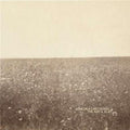 Milk Carton Kid - Ash & Clay - LP Vinyl