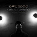 Ambrose Akinmusire - Owl Song - CD