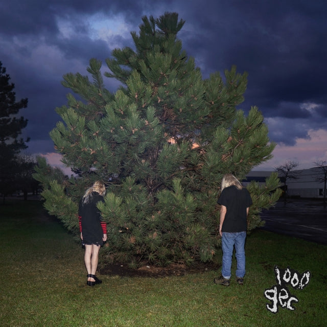 100 Gecs - 10,000 Gecs & 1000 Gecs - LP Vinyl Bundle