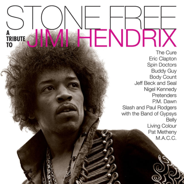 Jimi Tribute Hendrix - Stone Free: Jimi Hendrix Tribute (Black & Clear LP Vinyl) (Rocktober)