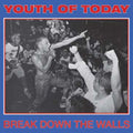 Break Down The Walls (Hot Pink Eco LP Vinyl)