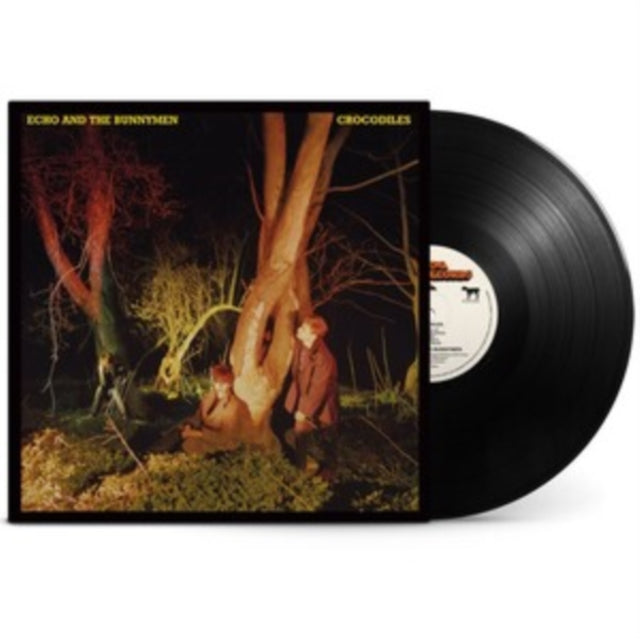 Crocodiles (Rocktober) & B-Sides & Live (2001 - 2005) (180G/Clear LP Vinyl)