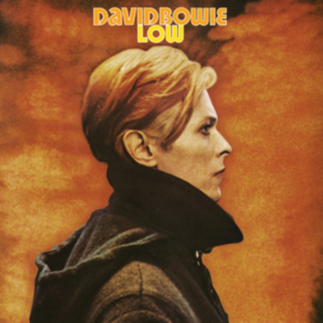 David Bowie - Earthling (2021 Remaster/2LP) & Heroes (2017 Remaster) & Low (2017 Remaster) & Station To Station (2016 Remastered Version) & Hunky Dory (2015 Remaster/50Th Anniv/Picture Disc) & Live Los Angeles 1974 (White LP Vinyl/Limited) & Ziggy