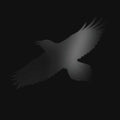 Odin's Raven Magic (Hilmar Orn Hilmarsson, Steindor Andersen & Maria Huld Markan Sigfusdottir (2LP)