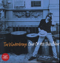 Waterboys - Out Of All This Blue - LP Vinyl