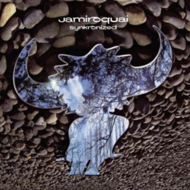 Synkronized & Funk Odyssey (2LP/140G)
