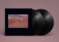 Bing & Ruth - Species - LP Vinyl