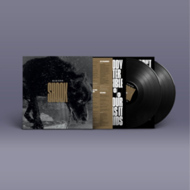 Shook (2LP)