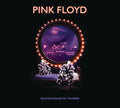 Delicate Sound Of Thunder (2CD)