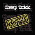 Authorized Greatest Hits (2LP)