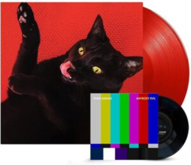 Demolition & Big Colors (LP/7Inch)