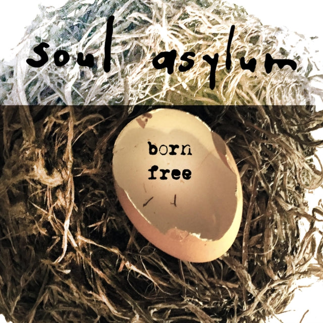Soul Asylum - Born Free - 10 Inch Vinyl