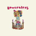 Becalmyounglovers (Teal LP Vinyl)