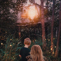 He Is We - Treehouse - CD