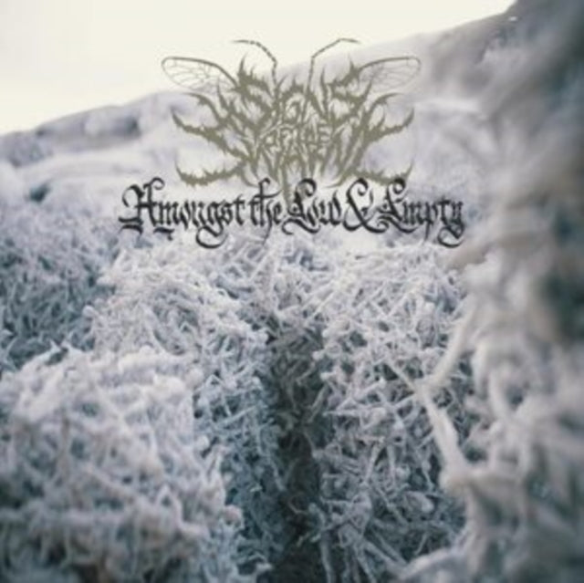 Signs Of The Swarm - Amongst The Low & Empty - LP Vinyl