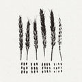 Gleaners