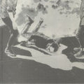 Hummingbird (10Th Anniversary)