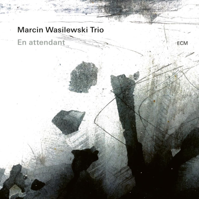 Marcin Trio Wasilewski - En Attendant - LP Vinyl