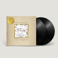 Almost Everything... (2LP)