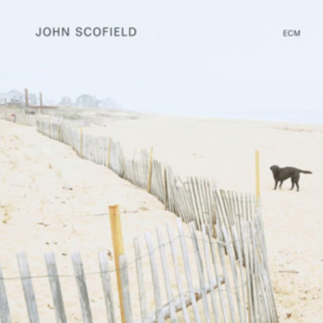 John Scofield - Go Go (Verve By Request Series) & John Scofield - LP Vinyl Bundle