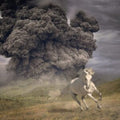 White Buffalo - Year Of The Dark Horse - LP Vinyl