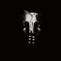 Bullet For My Deluxe