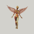 Nirvana - In Utero (30Th Anniversary) (5CD)