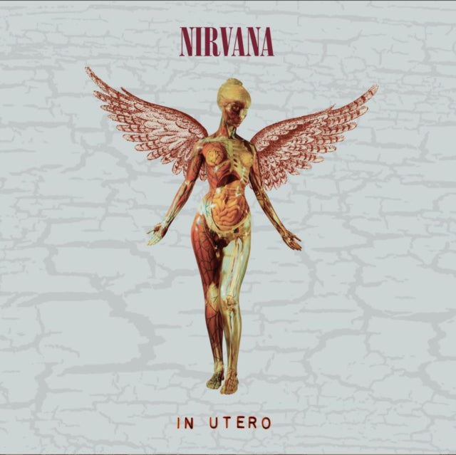 In Utero (30Th Anniversary) (2CD) & Nirvana