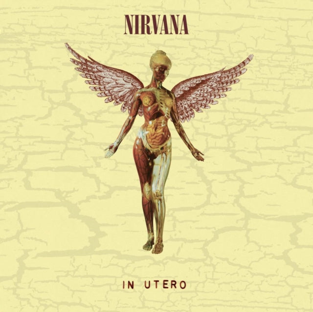 Nirvana - Bleach & In Utero (30Th Anniversary) (LP/10 Inch) & Live At Reading & Incesticide (20Th Anniversary 45RPM Edition) & In Utero: 2013 Mix (2LP) & Nirvana (150G/Dl Code) & In Utero (180G/33-1/3 RPM) & Unplugged In N.Y. & From The Muddy Banks