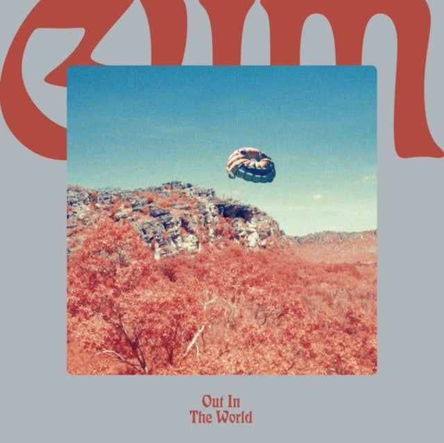 Gum - Out In The World - LP Vinyl