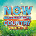 Various Artists - Now Country Vol. 13 - CD