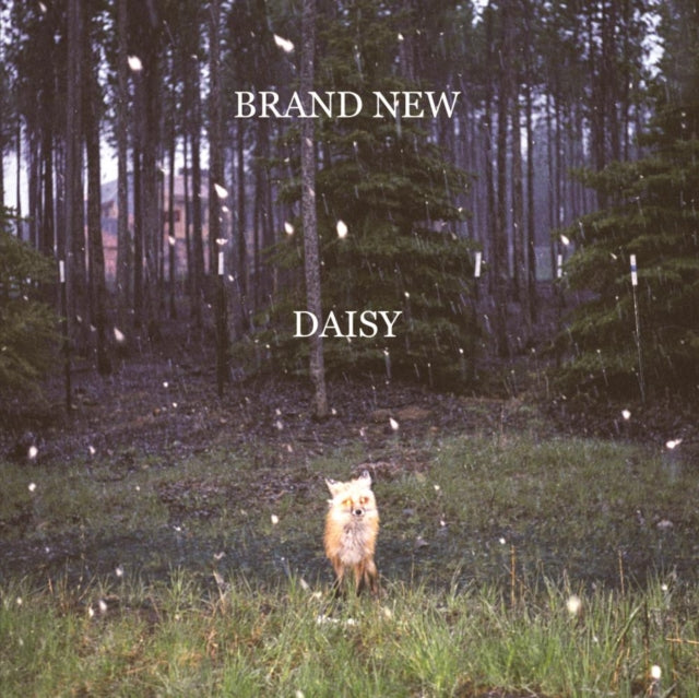 Daisy & Deja Entendu