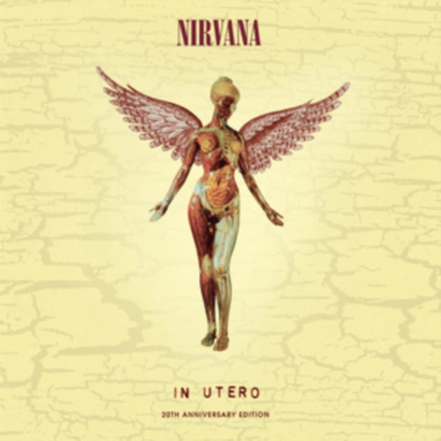 Nirvana - In Utero (30Th Anniversary) (LP/10 Inch) & In Utero & In Utero: 2013 Mix (2LP) & Mtv Unplugged In New York (2 LP) & From The Muddy Banks Of The Wishkah