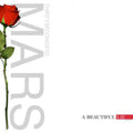Beautiful Lie