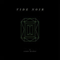 Vide Noir (2 LP)
