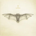 White Bat