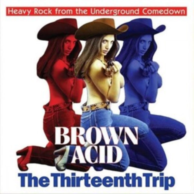 Various Artists - Brown Acid: The Thirteenth Trip - LP Vinyl