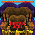 Brown Acid: The Fourteenth Trip Vinyl Record