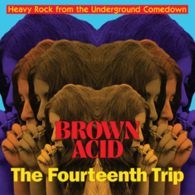 Brown Acid: The Fourteenth Trip Vinyl Record
