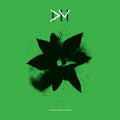 Exciter / The 12Inch Singles (8LP)